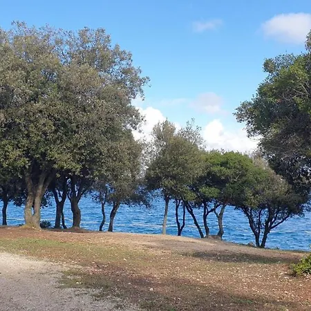 Apartmán Papalina Vrsar