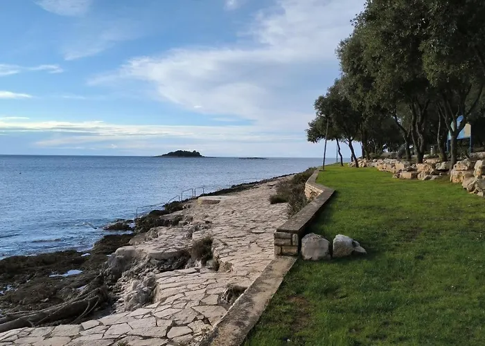 Papalina 브르사르