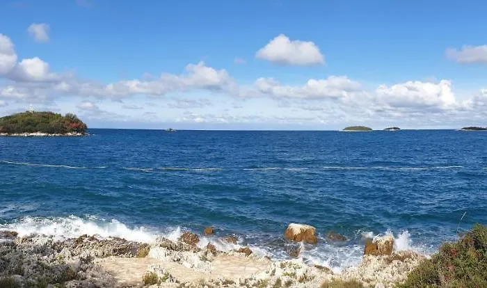 Papalina 브르사르