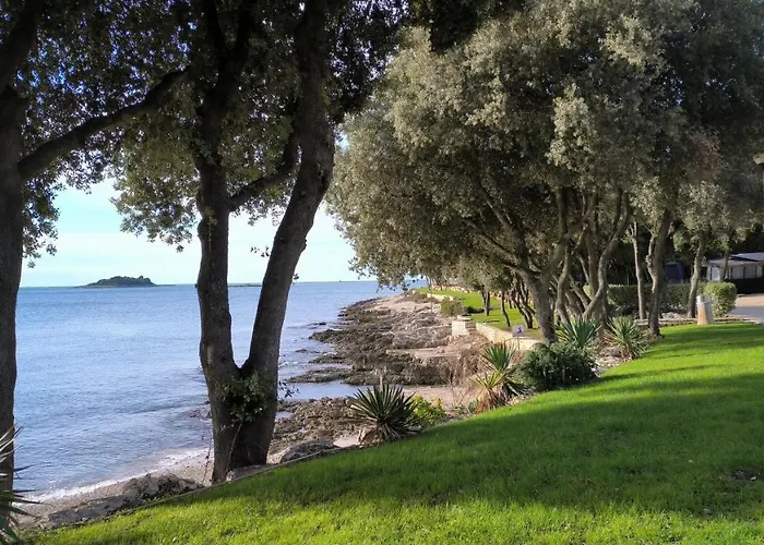 Papalina * 브르사르