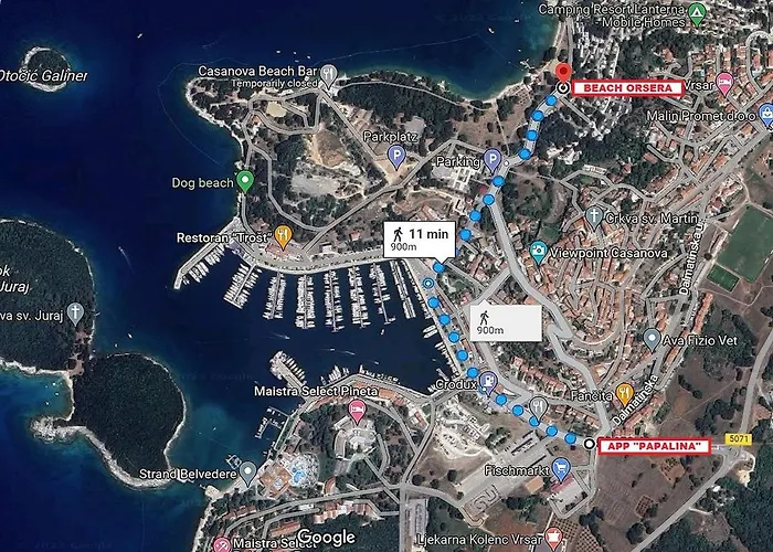 Papalina * 브르사르