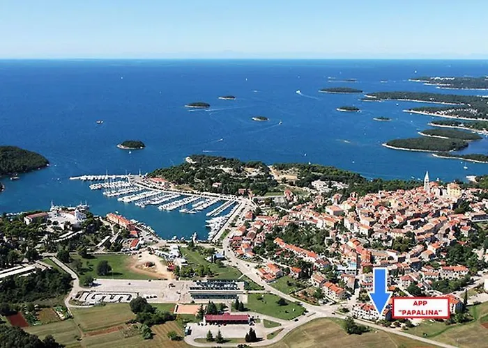 Papalina 브르사르