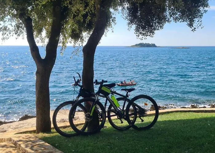 아파트 Papalina *